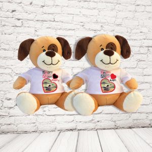 COPPIA PELUCHE ''LOVE ANNIVERSARIO'' CANE